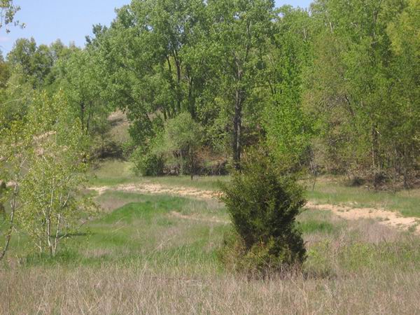 Manchester Speedway - May 2008 (newer photo)